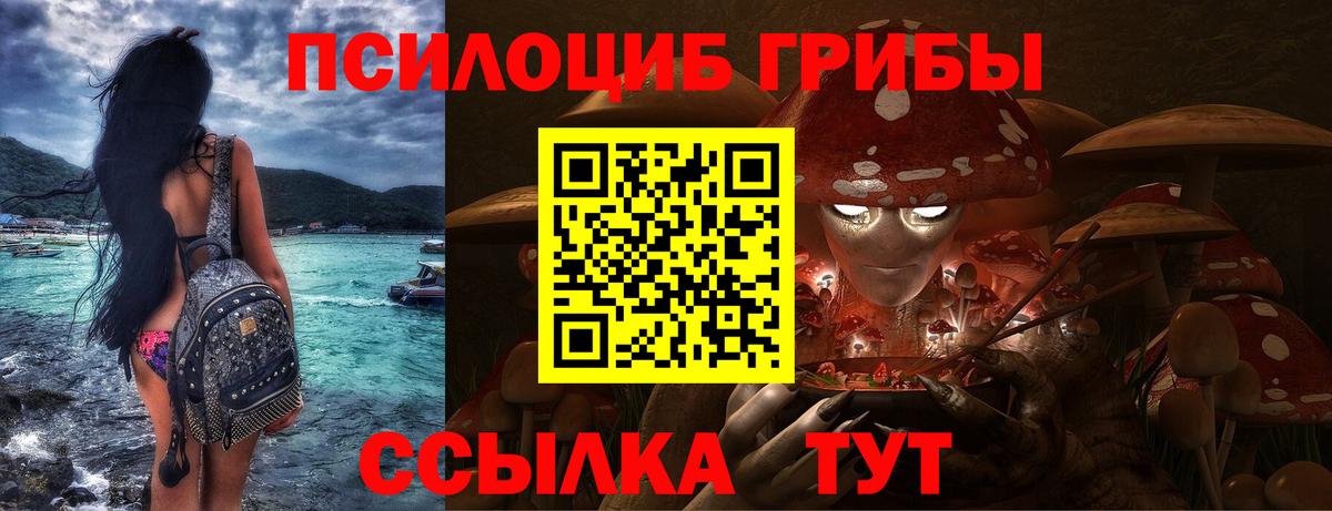 Галлюциногенные грибы GOLDEN TEACHER Ессентуки